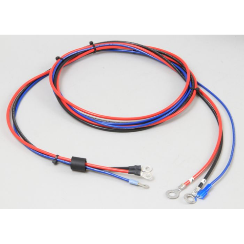 Charger Cord, Summit Ii, 12Ga, W/5/16" Ring Eye Terminals