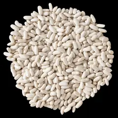 BEANS CANNELLINI OG | 25 LBS