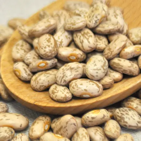 BEANS PINTO OG | 25 LBS