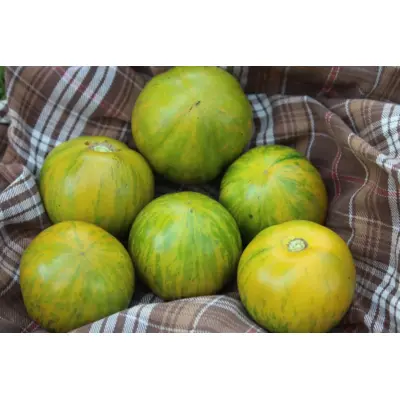 Tomato - Green Zebra (Seed)