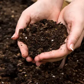 Organic Fertilizer