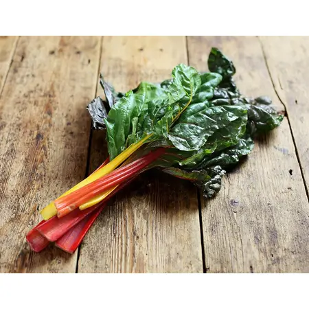 CHARD RAINBOW OG | 24 CT