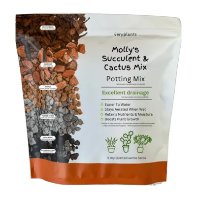 Molly's Succulent Mix