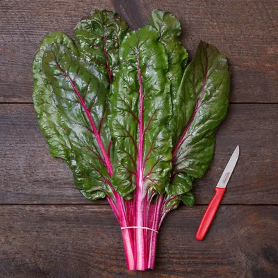 Swiss Chard - True Magenta (Organic Seed)