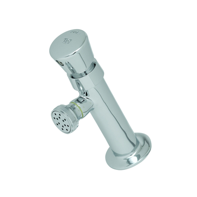 T&S Brass B-0800 Slow Self-Closing Faucet Heavy Duty