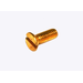 Brass Machine Screw