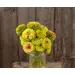 Zinnia - Queeny Lime Blotch (Organic Seed)