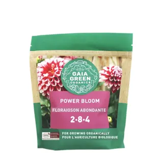 Gaia Green Power Bloom
