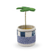 Figurine Potted Clover