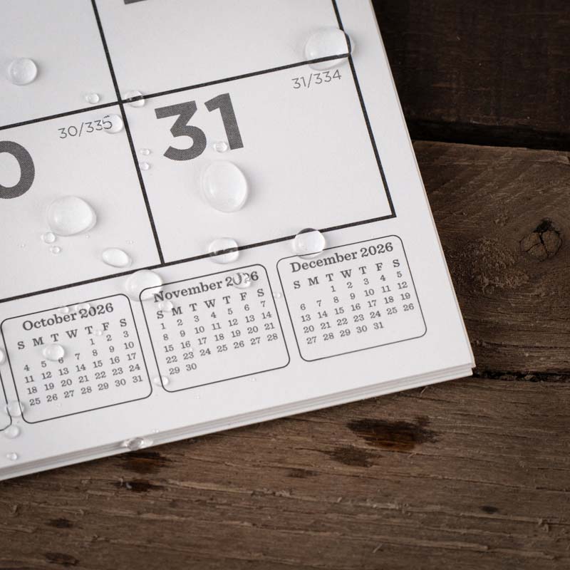 Mud on a calendar.