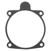 Gasket (P-62086)