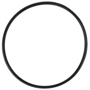 O-Ring (OR-PP-872)