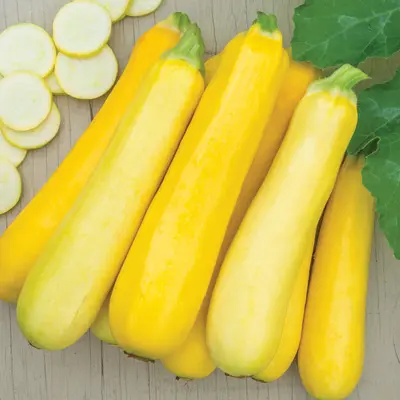 Zucchini - Butterstick (Seed)