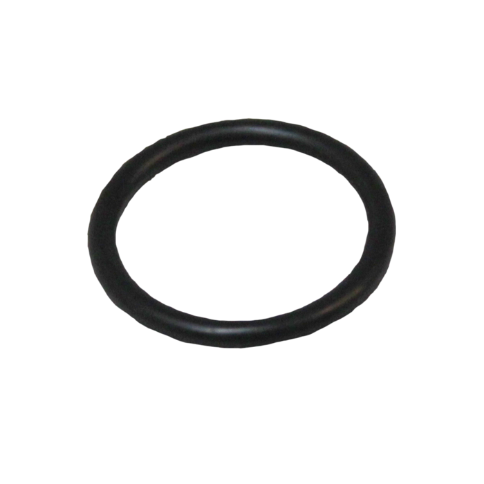 O-Ring (0138579)