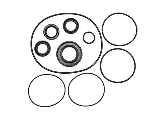 Veloci Replacement Pump Kit for AR Kit 2781 
