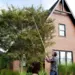 Pole Tree Trimmer