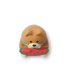 Figurine Shiba Dog with Watermelon