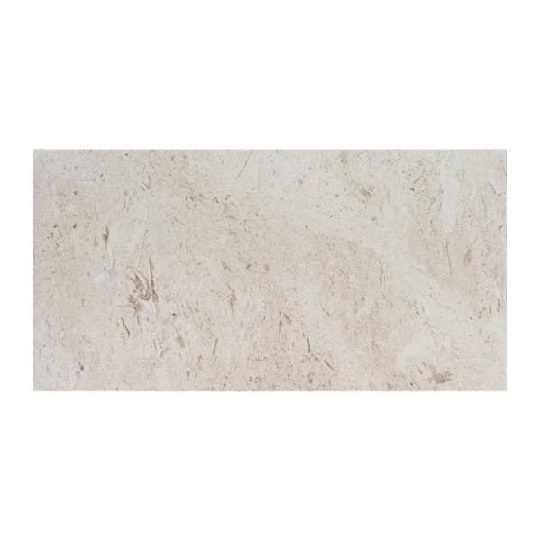 12x24 Shell Stone