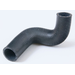Lower Radiator Hose