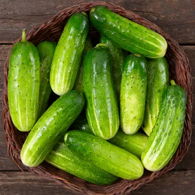 Cucumber - Double Yield Pickling (Organic Seed)