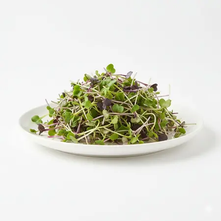 SPROUTS MICROGREENS MIX OG | 8 OZ