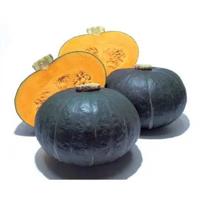 Winter Squash - Sweet Mama Hybrid Buttercup (Seed)