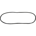 Windshield Gasket