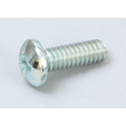 Screw