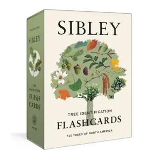 Sibley Tree Identification Cards