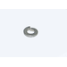 1/4 Lock Washer Gr2