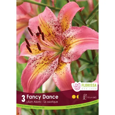 Lily - 'Fancy Dance' 3/pkg