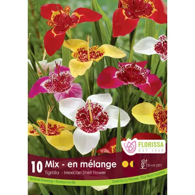 Tigridia and Ferraria Mix - 10/pkg