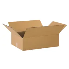 22 X 16 X 4" ECT32 CORRUGATED CARTON 25/BD