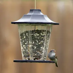 Carriage Bird Feeder