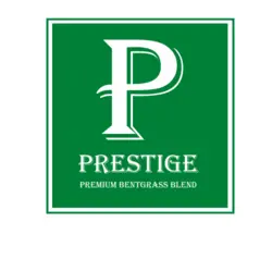 Tee-2-Green Prestige Premium Bentgrass Blend