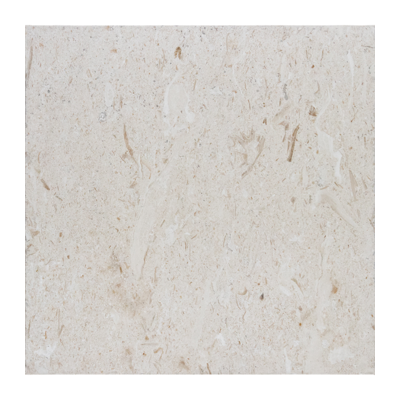 Shell Stone