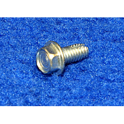 Screw