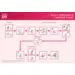 Tristel OPH High Level Disinfection Pack 2(set)