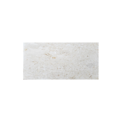 6X12 Shell Stone