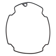 Gasket (P-62090)