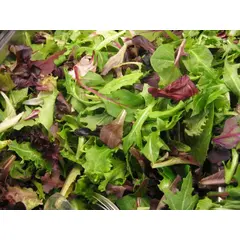 SALADS SPRING MIX OG | 3 LBS