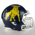 Midsized Football Helmet Decals