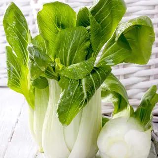 Pak Choi - Hanakan (Seed)