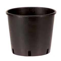 Niccolai Nursery Pot