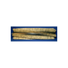 Broom, 40" 6 D.R. Proex
