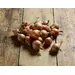 ONIONS SHALLOTS OG | 5 LBS