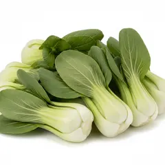 BOK CHOY BABY OG | 20 LBS