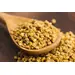 BEE POLLEN | 5 LBS