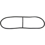 Windshield Gasket