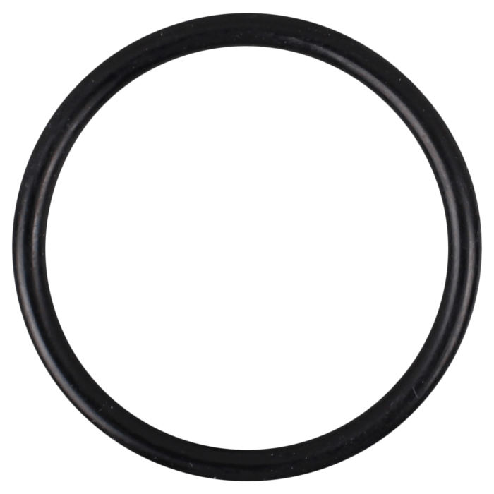 O-Ring (OR-PP-568B)